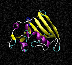 分子動(dòng)力學(xué)(圖1)